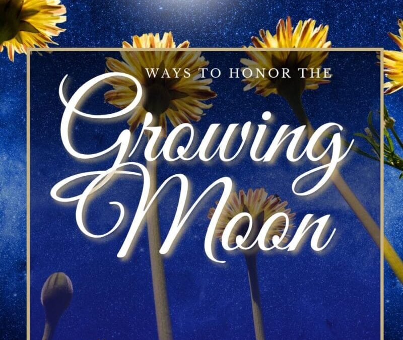 Full Moon Growth