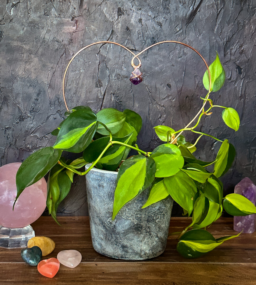 Embrace the Enchantment: Witchy Houseplants