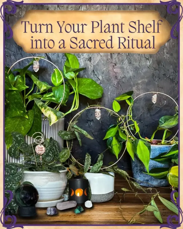Caring for your plants is already an act of love. With the right energy, it becomes a ritual. 

Let’s talk about how two powerful crystals—Clear Quartz and Smoky Quartz—can support your space and your spirit in different ways.

🤍 The Circle Trellis with Clear Quartz is all about magnification. This crystal amplifies the energy of what you’re growing—literally and spiritually. Perfect for manifestation plants or window spaces where you want to call in clarity, light, and new beginnings.

🖤 Smoky Quartz brings grounding strength to your plant space. It helps clear stagnant or negative energy and gently roots your intentions. Use it when you need support, calm, or a stronger energetic boundary in your home.

✨ Both of these copper circle trellises are handcrafted with care and intention. Whether you’re amplifying growth or anchoring calm, choose the one that resonates—or bring them together to balance your plant magick.

Available now at Her Enchanted Creations, link in bio 

Which one are you getting?

#magicalcreations #magicalsolutions #makingmagic #makeeverydaymagic #magicaltools #herenchantedcreations #everydaywitchcraft #everydaymagic #greenwitch #gardenwitch #plantsandcrystals #crystalenergy #crystalsandplants